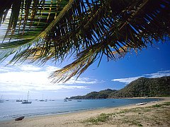 Magnetic Island National Park, North Queensland, Australia